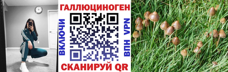 хочу наркоту  Брюховецкая  Галлюциногенные грибы Magic Shrooms 